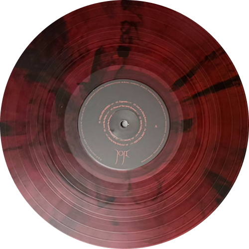 Piss In The Wind vinyl record